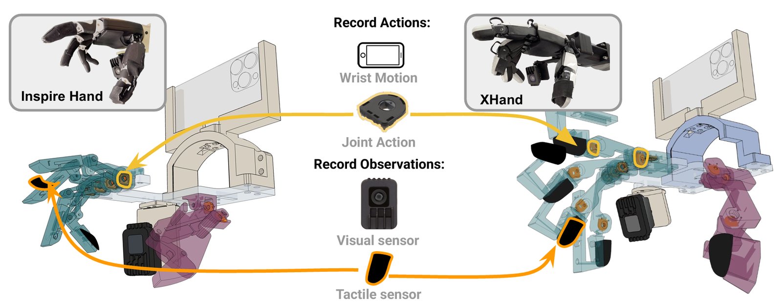 DexUMI's exoskeletons for the Inspire Hand and XHand, recording actions and observations