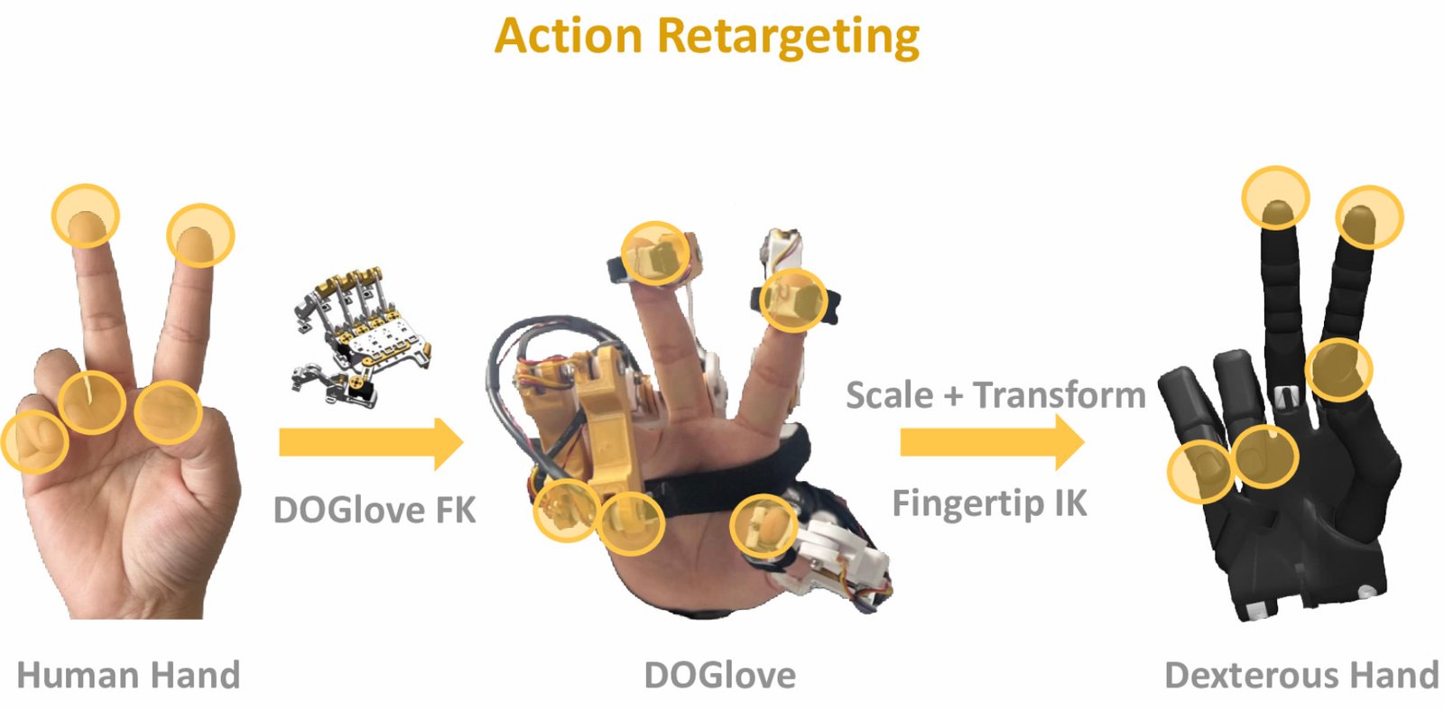 Mapping from the human hand through the glove's forward kinematics and fingertip inverse kinematics to the robot hand